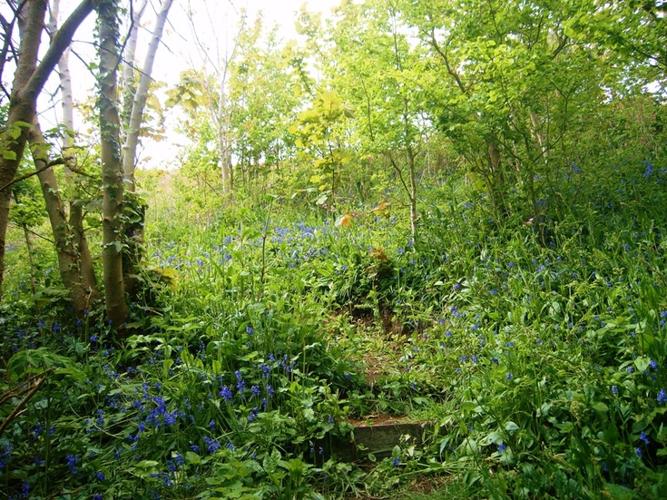 nature-reserves-and-sites-strategy-2025-2030-alderney-wildlife-trust